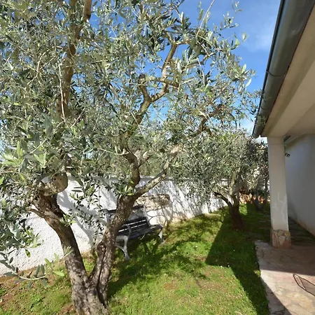 Vallelunga Villa *